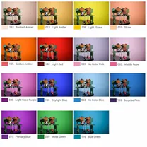 godox-color-effects-set-v-sa-11c.jpg