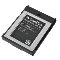 sandisk-professional-cfexpress-256gb-pro-ci.jpg