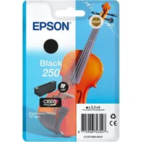 epson-singlepack-black-250-ink.jpg