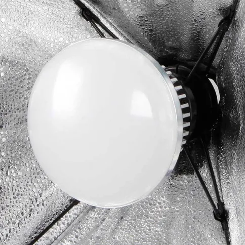 12358896-5.jpg