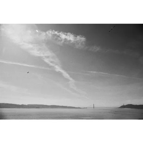 Cinestill-DF-96-Monobath-Powder_4.jpg