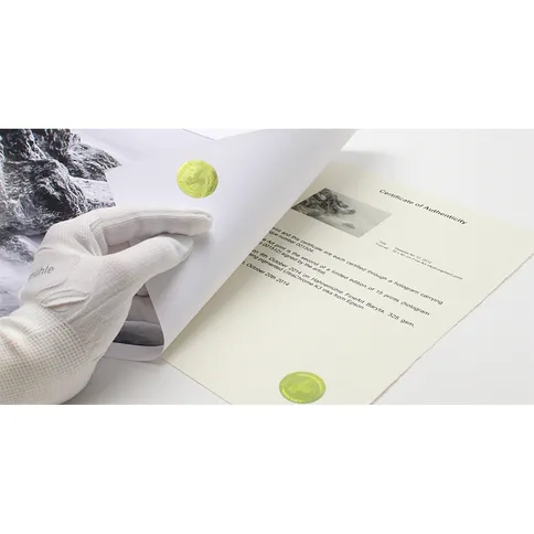 Hahnemuhle Certificate of Authenticity_3.jpg