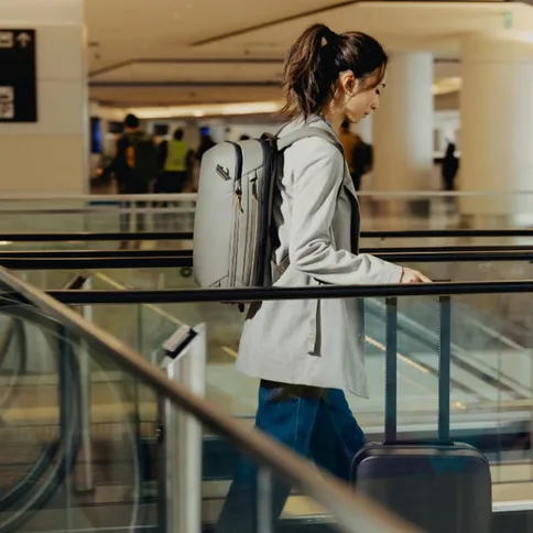 6_peak_design_travel_backpack_20L_stone.jpg