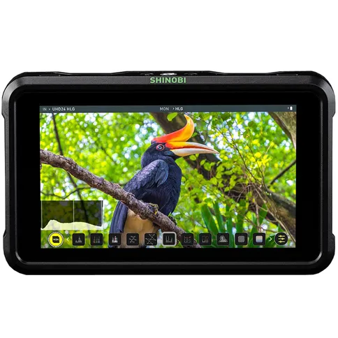 Atomos_shinobi_monitor_1.jpg