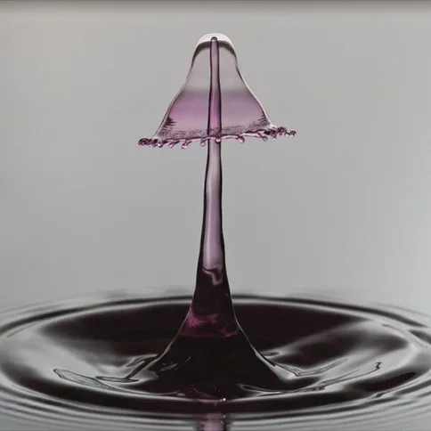 cognisys_stopshot_water_drop_photografy_kit_4.jpg