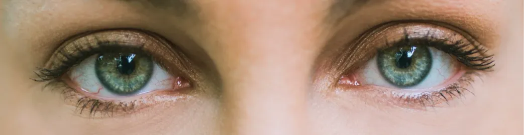 Iris Photography: How to Take the Perfect Iris Photos