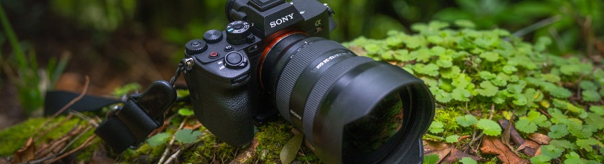 Find the camera that perfectly matches your photography style