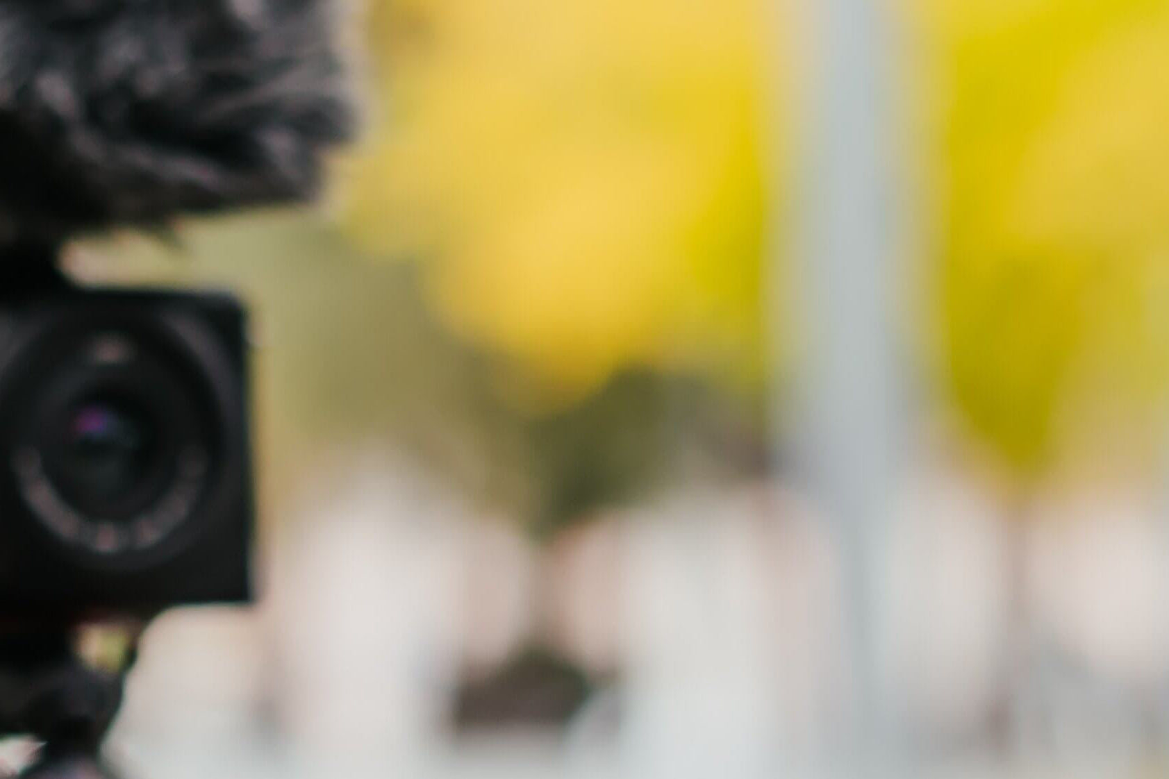 The Best Vlog Cameras