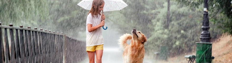 How to photograph in the rain