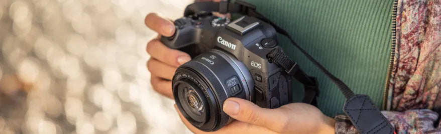 Compare the Canon EOS R8, R, RP and 6D II