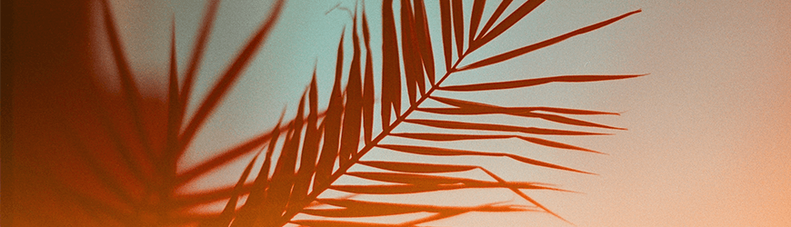 Analogue photography buying guide