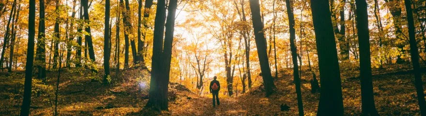 Photography tips for hiking