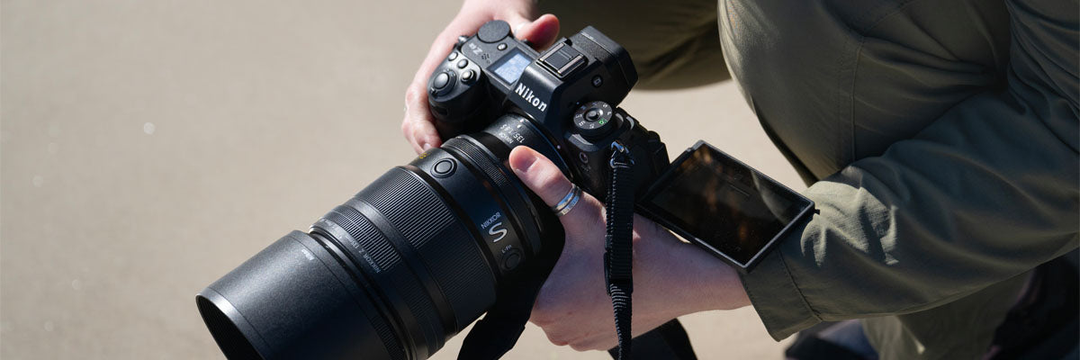 Comparison of Nikon Z6 II, Z6 III and Z8 cameras