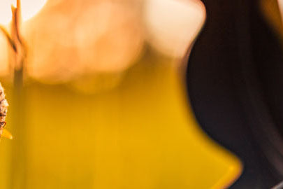 Macro lens