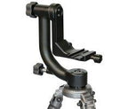 Wimberley WH-200 Tripod Head Ver.II
