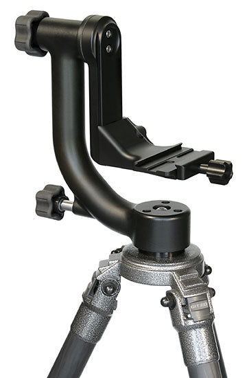 Wimberley WH-200 Tripod Head Ver.II