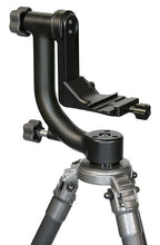 Wimberley WH-200 Tripod Head Ver.II