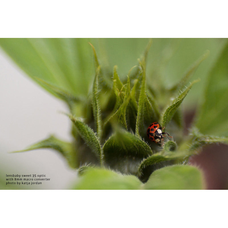 LensBaby Macro Converter Kit
