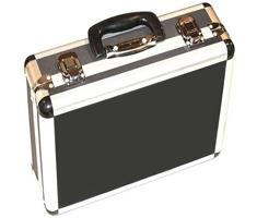 LedGo LG900 Hard case (for 2pcs)