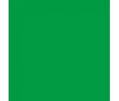 Bresser BG-6X6-CK Background Cloth 6.0x6.0 meter Chromakey Green
