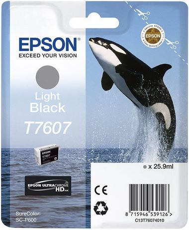 Epson T7607 Grey