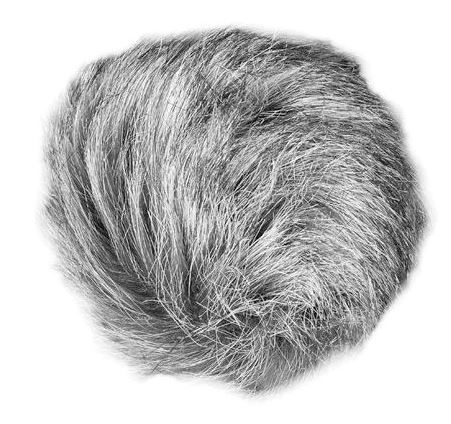 Zoom WSU-1 Universal Wind Screen