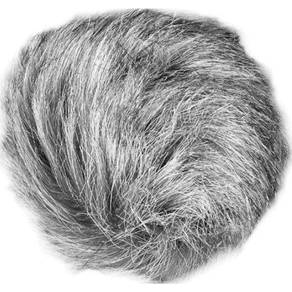 Zoom WSU-1 Universal Wind Screen