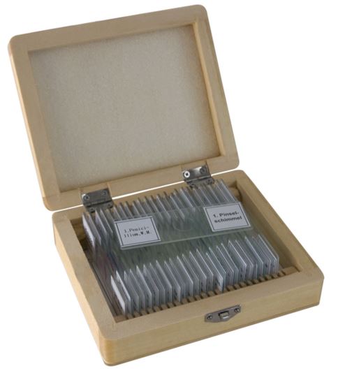 Bresser Microscope preparation 25 pieces : Biology