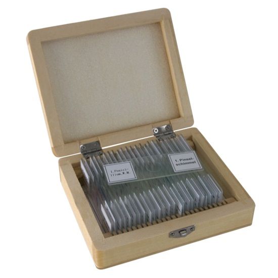 Bresser Microscope preparation 25 pieces : Biology