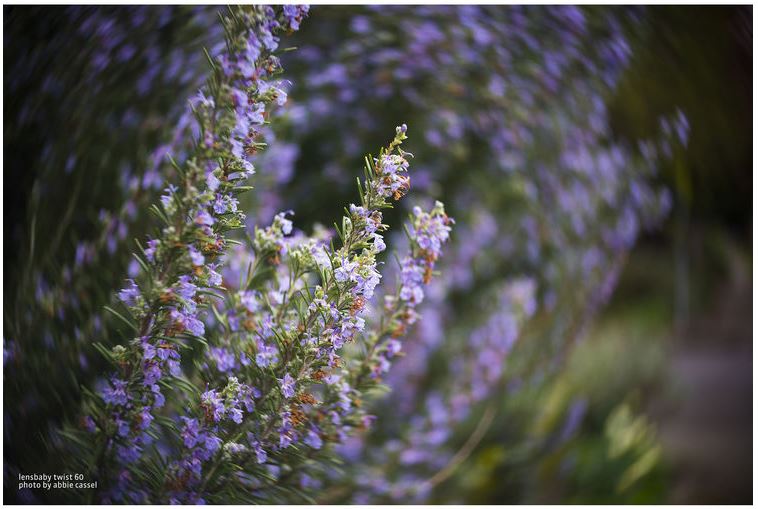Lensbaby Twist 60 Sony