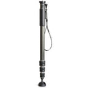 Gitzo GM2542 eXact Carbon Monopod Series 2