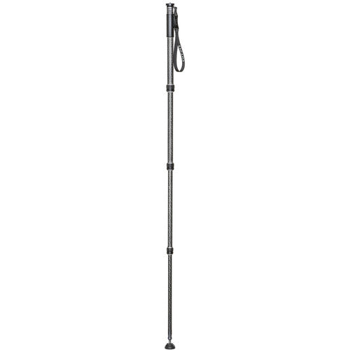 Gitzo GM2542 eXact Carbon Monopod Series 2
