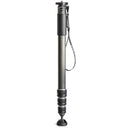 Gitzo GM4542 eXact Carbon Monopod Series 4