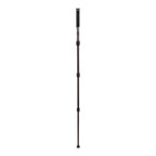 Benro Mach3 Monopod MMA28C