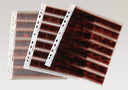 Kaiser 2510 Negative Filing Sheets 35mm @100 pergamin