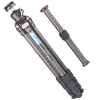 Leofoto Ranger LS-284C + ball head LH-30