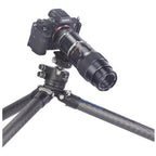Leofoto Ranger LS-324CEX