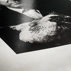 Hahnemuhle Photo Rag barite 315 gsm A5 30 sheets
