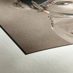 Hahnemühle Photo Rag 308gsm A4 25 Sheets