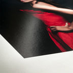 Hahnemuhle FineArt baryta satin 300 gsm Roll 610mm x 12 m