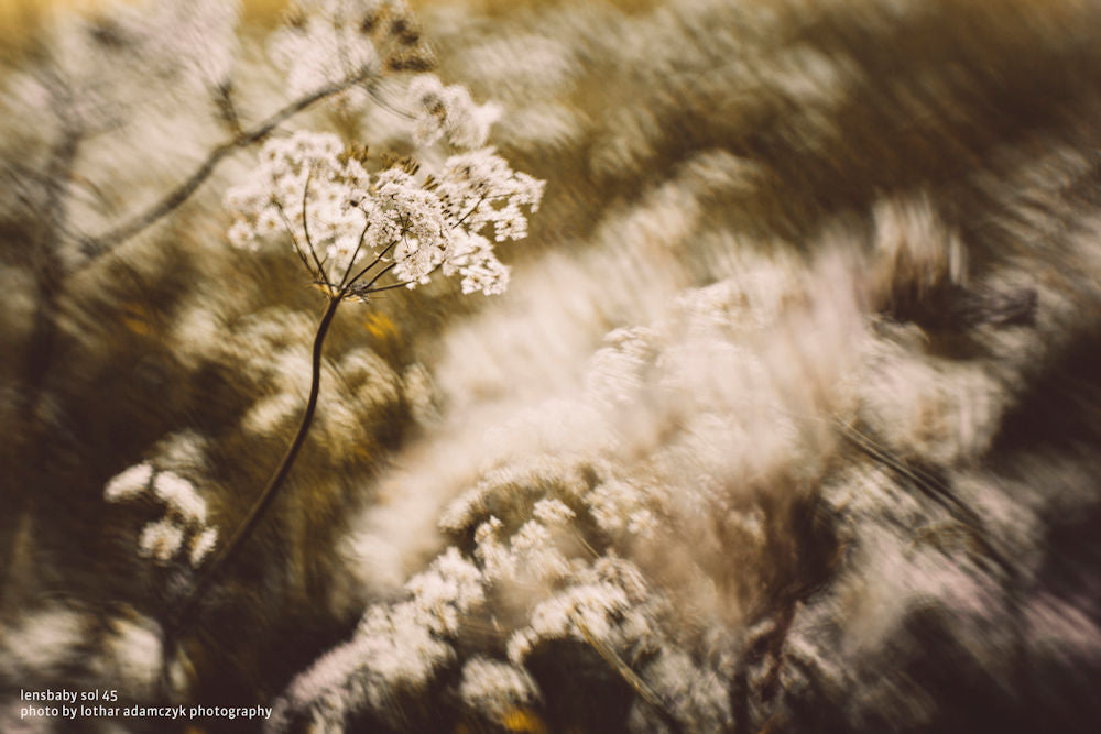 Lensbaby Sol 45 Canon EF / EF-S