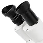 Bresser Microscope Erudit ICD Stereo (30.5)