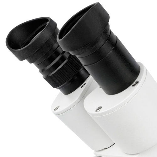 Bresser Microscope Erudit ICD Stereo (30.5)