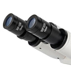 Bresser microscope Erudit Basic Bino 40x-400x (23)