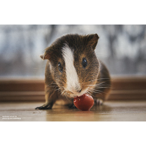 LensBaby Velvet 56 Black Nikon Z