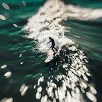 Lensbaby Composer Pro II with Sweet 50 lens Canon RF