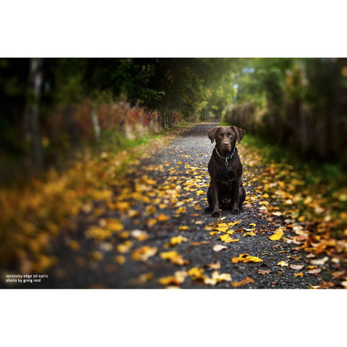 Lensbaby Composer pro II Nikon Z with Edge 50
