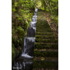 Lensbaby Composer pro II Nikon Z with Edge 50