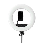 Caruba RGB Round Vlogger 18-inch LED set with pink bag
