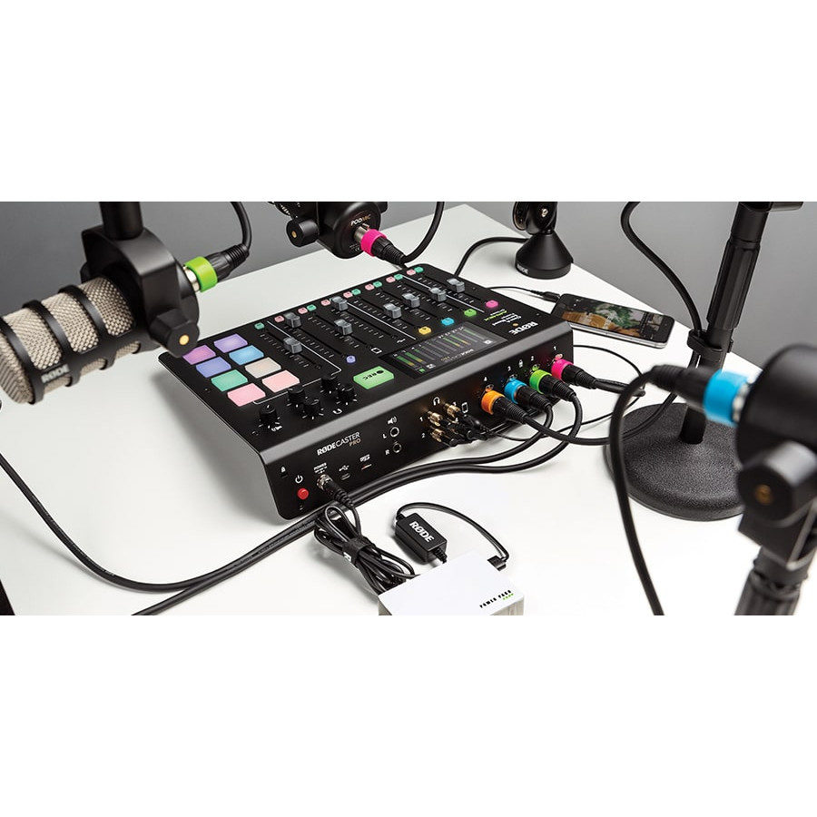 Rode XLR-ID set or 8 colours ringen